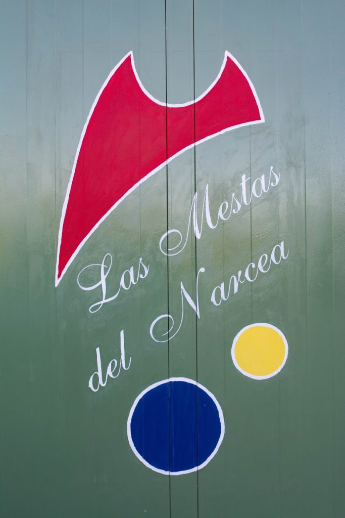 mestas-narcea-asturias