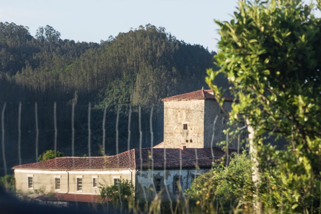 mestas-quintana-asturias