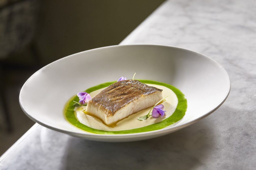 bacalao-negro-alaska