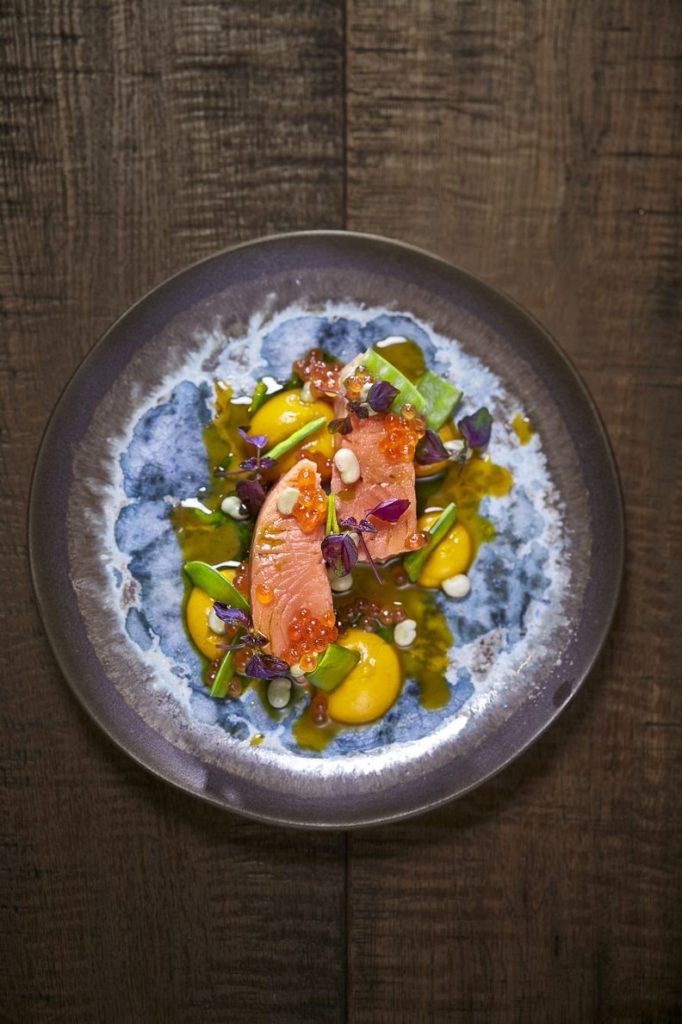salmon-salvaje