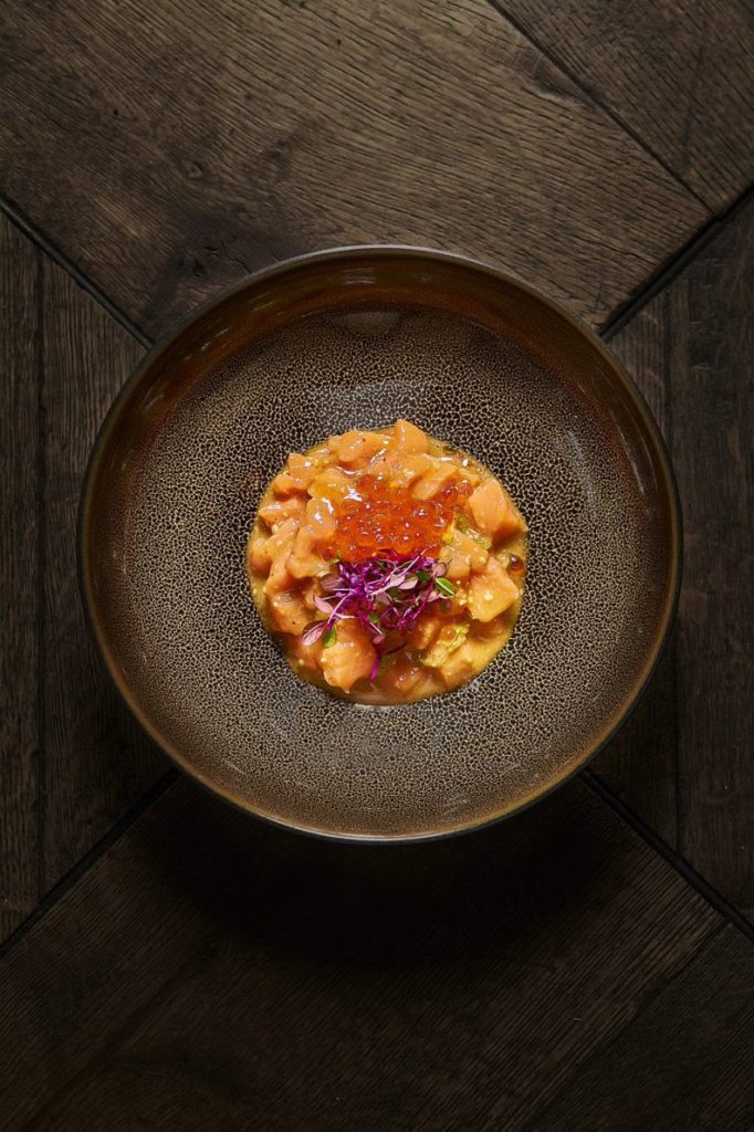 tartar-salmon-salvaje