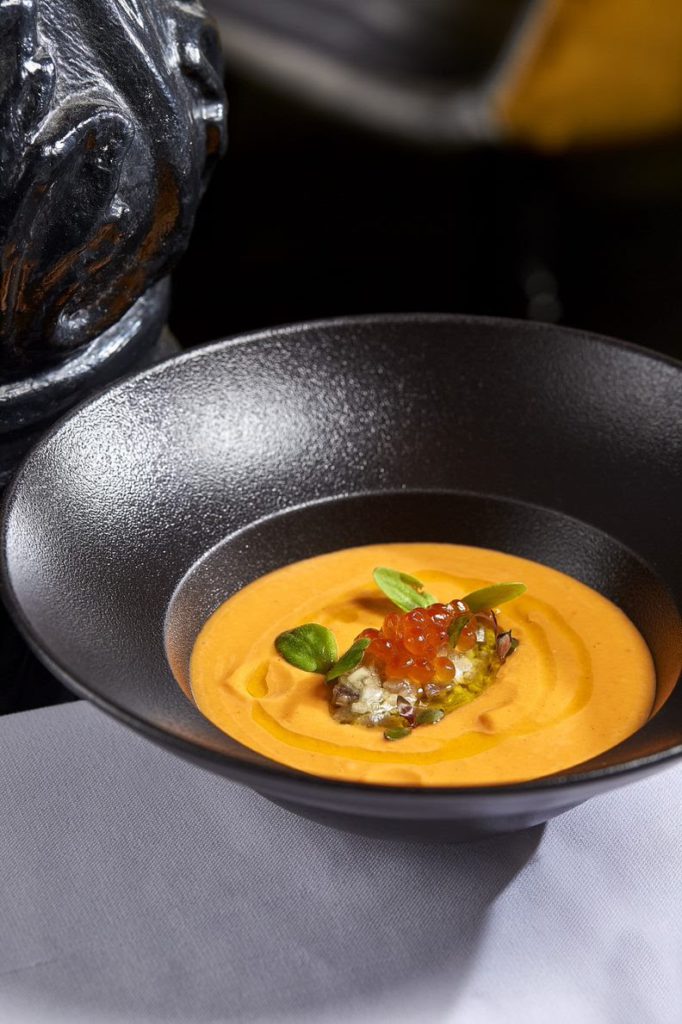 salmorejo-salvaje
