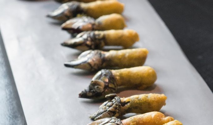 percebes-fritos-aove