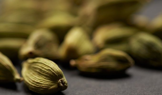 cardamomo